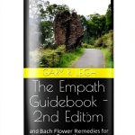 Kindle Energy Healing Book English Edition-0