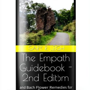 Kindle Energy Healing Book English Edition-0