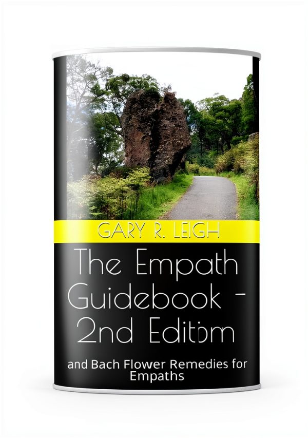 Kindle Energy Healing Book English Edition-0