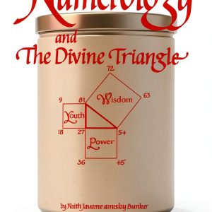 Numerology Life Path Guide by Red Feather Mind Body Spirit eBook-0